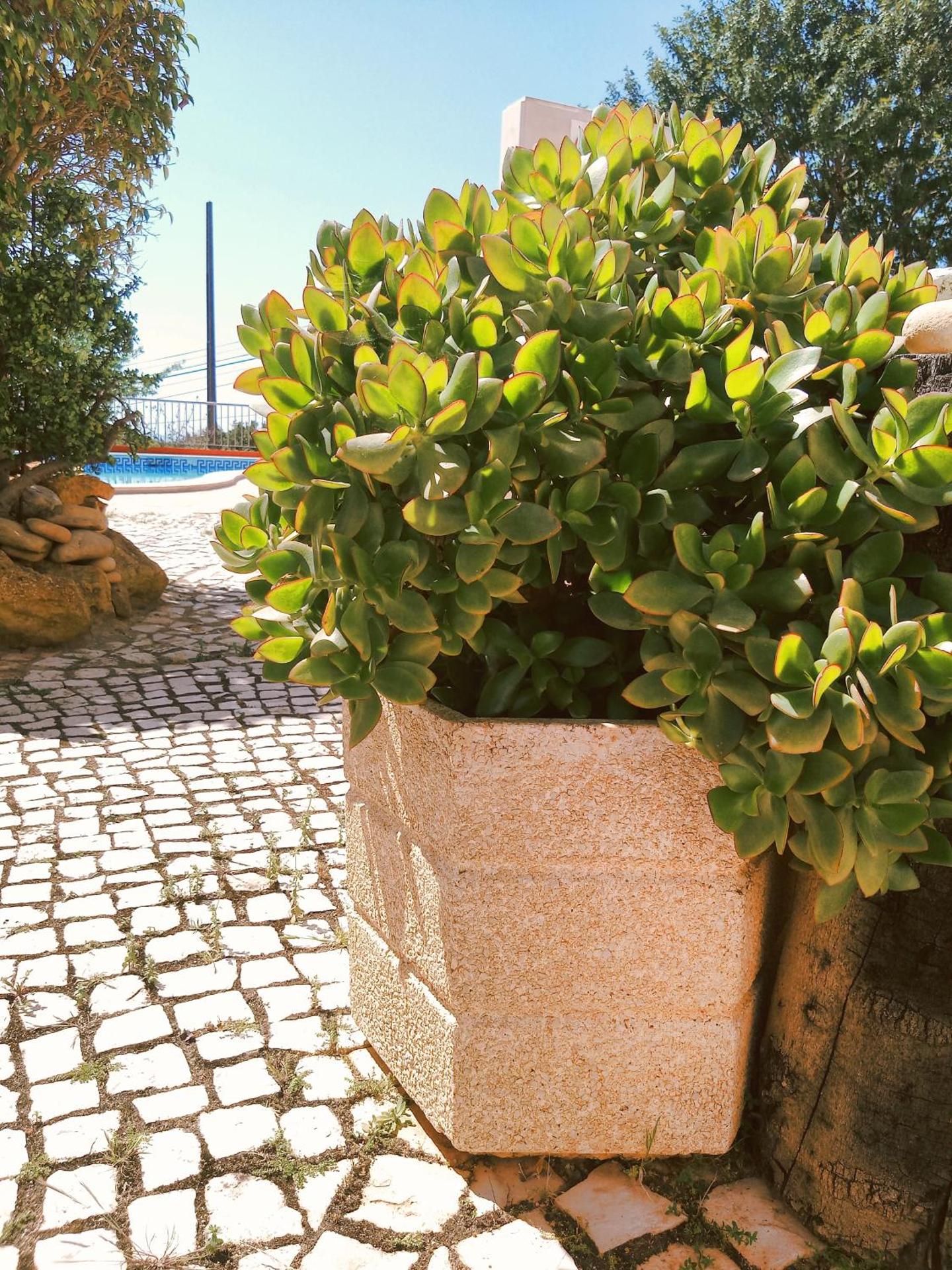 Quinta dos Caracois - Photo 26