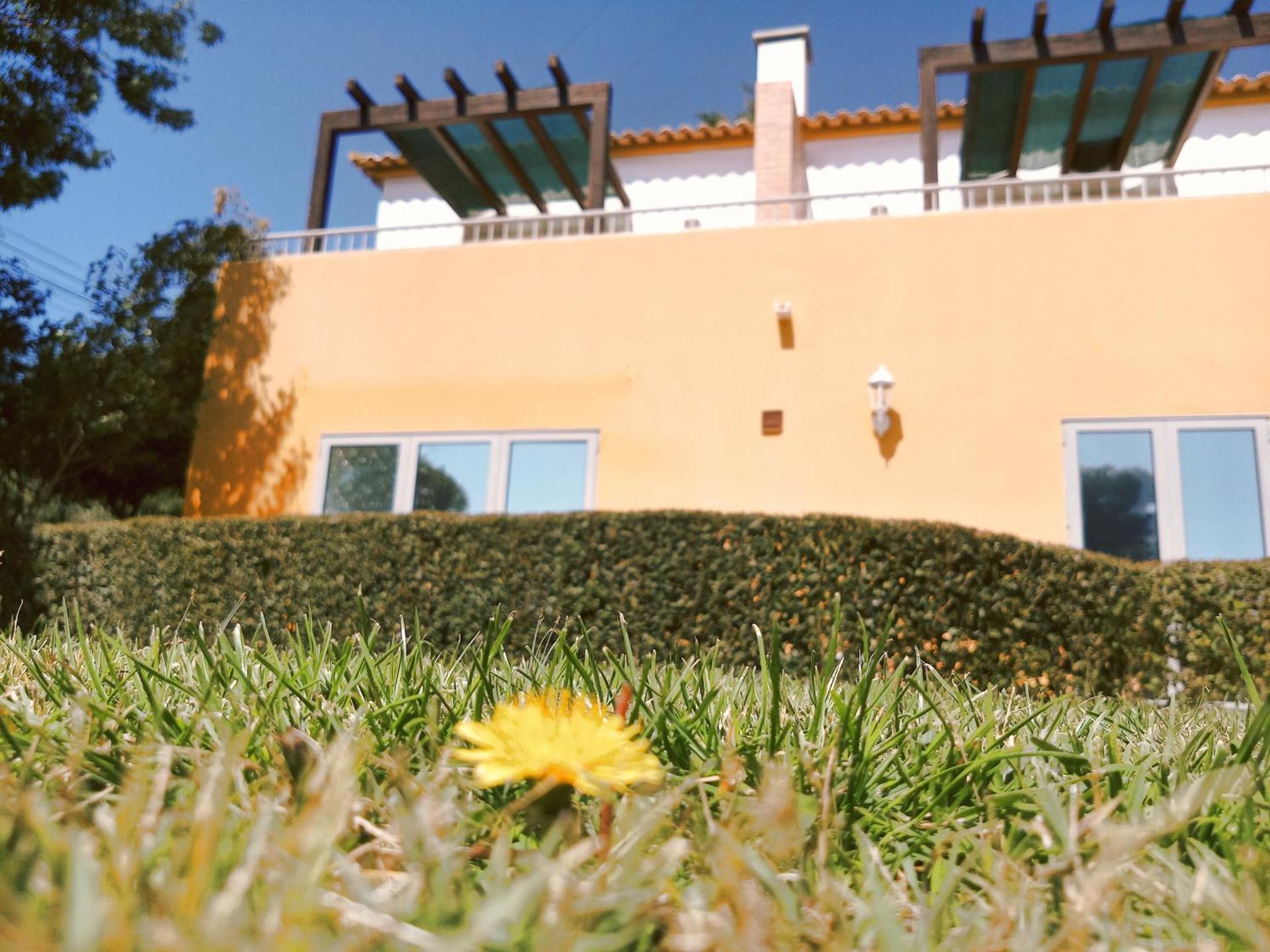 Quinta dos Caracois - Photo 30