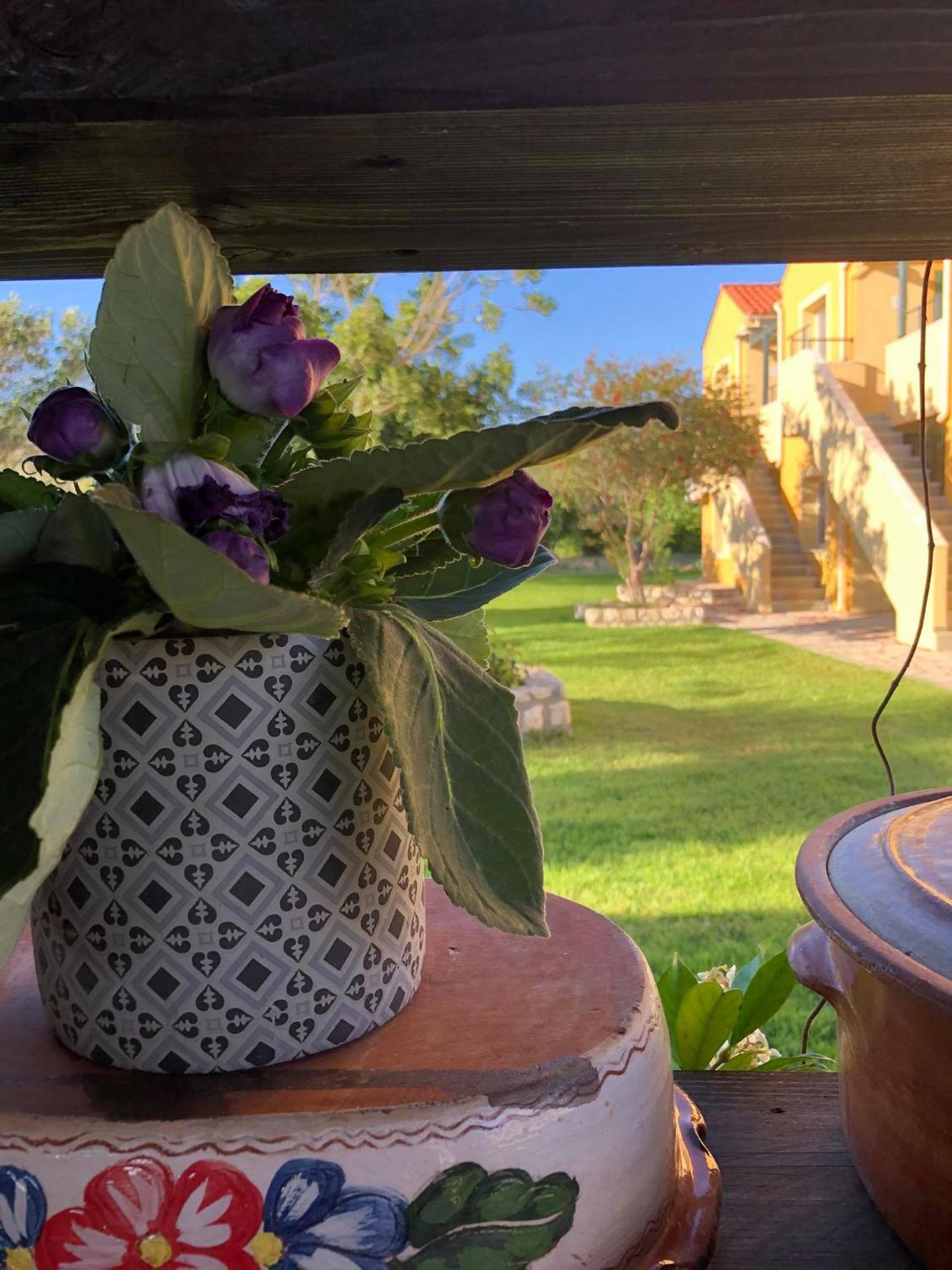 Sandy Beach Villas and Apartments - Photo 8