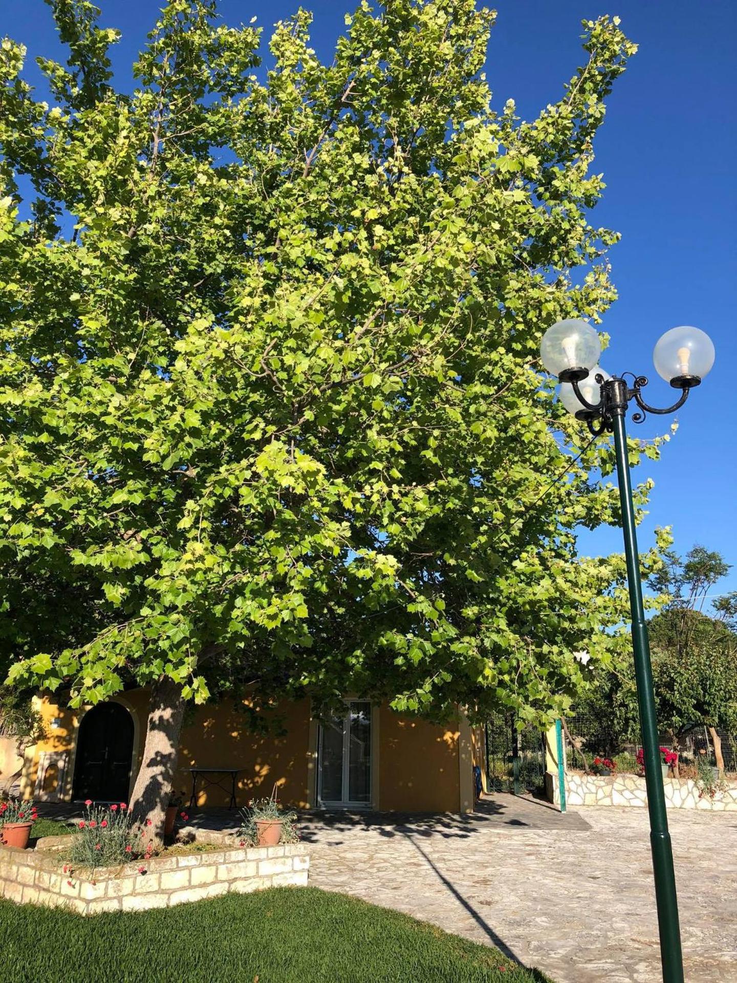 Sandy Beach Villas and Apartments - Photo 9