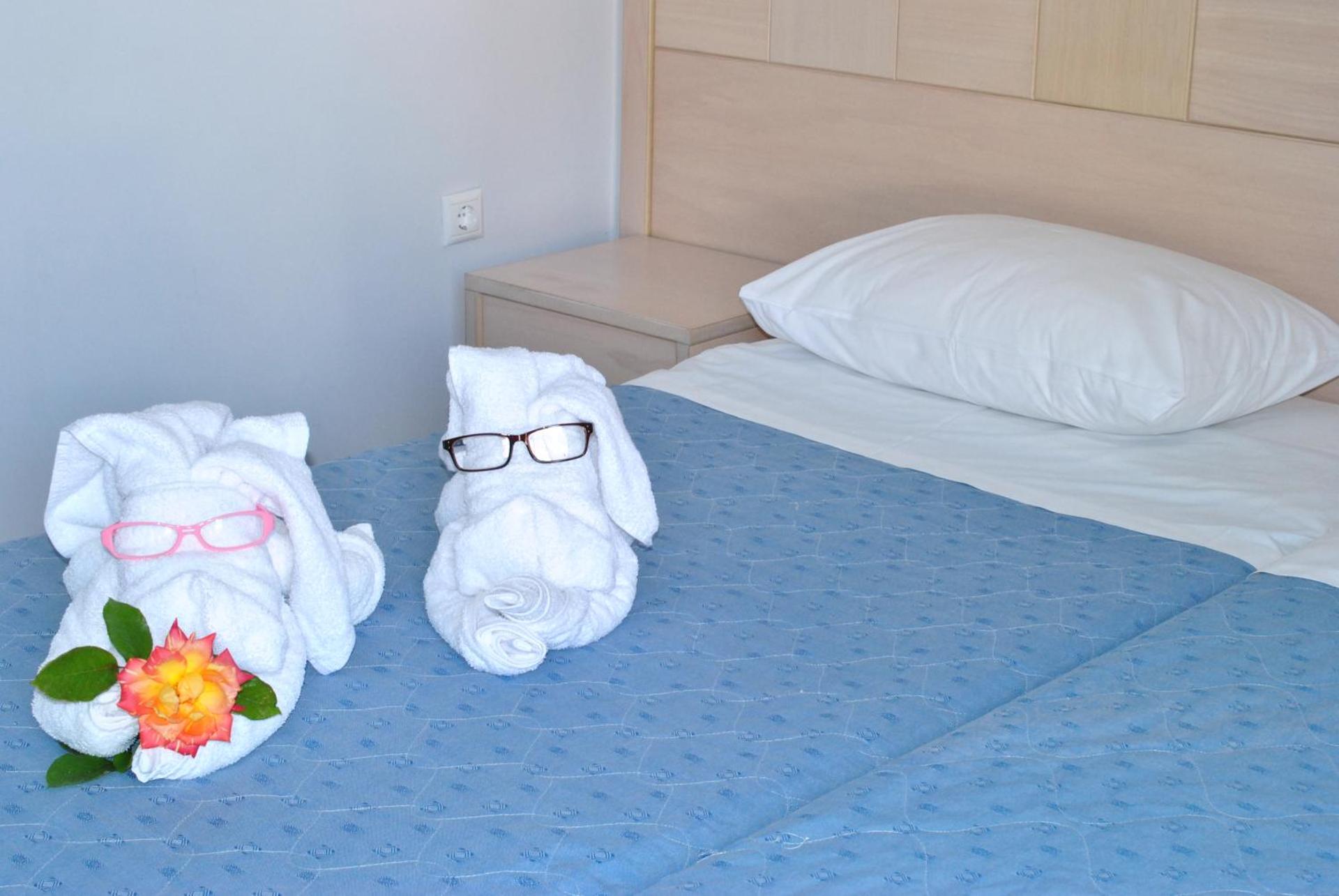 Hotel Aris - Photo 9