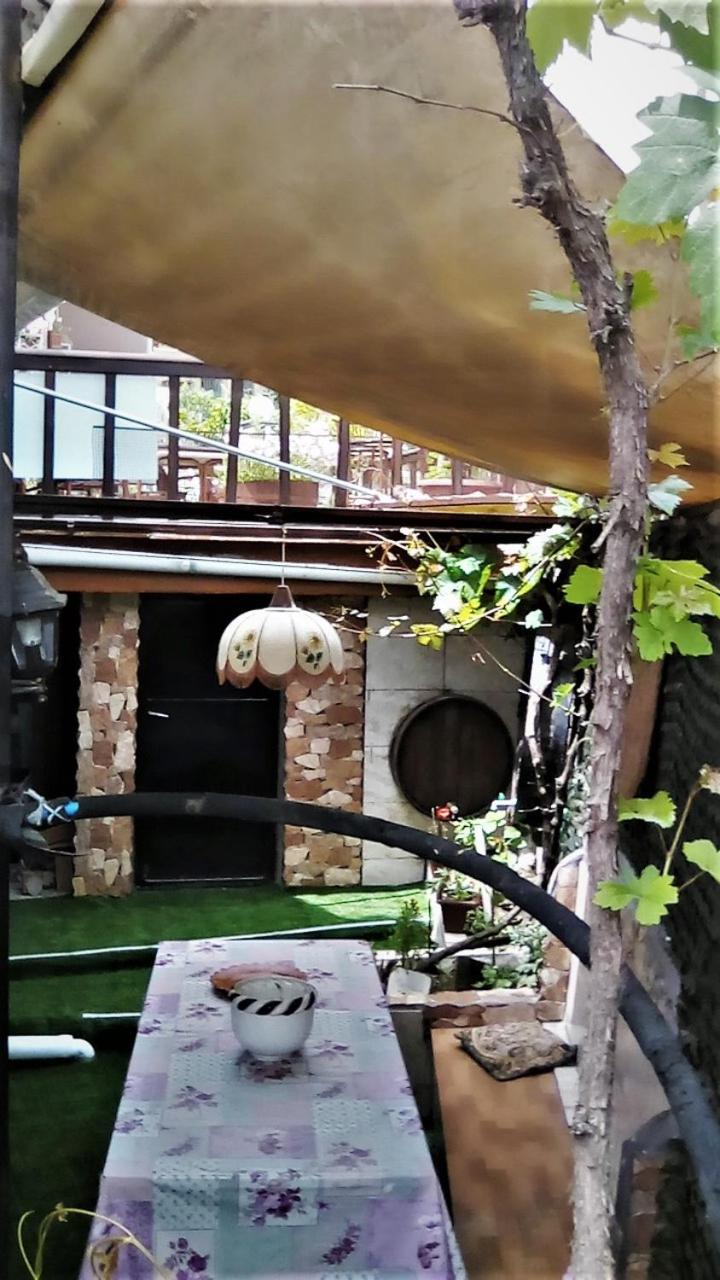 Kostis Hause - Photo 112