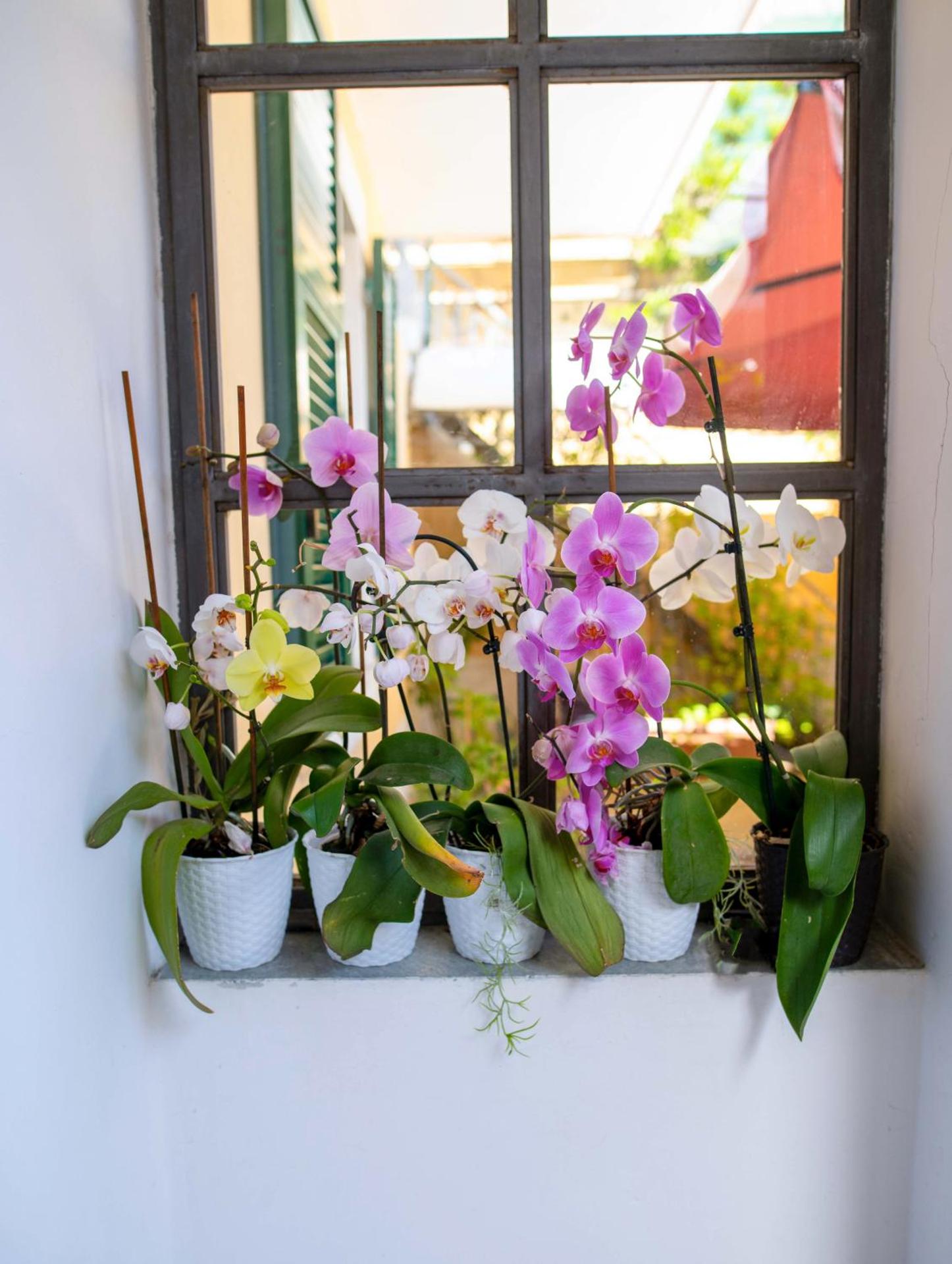 Hotel Miranda - Photo 15