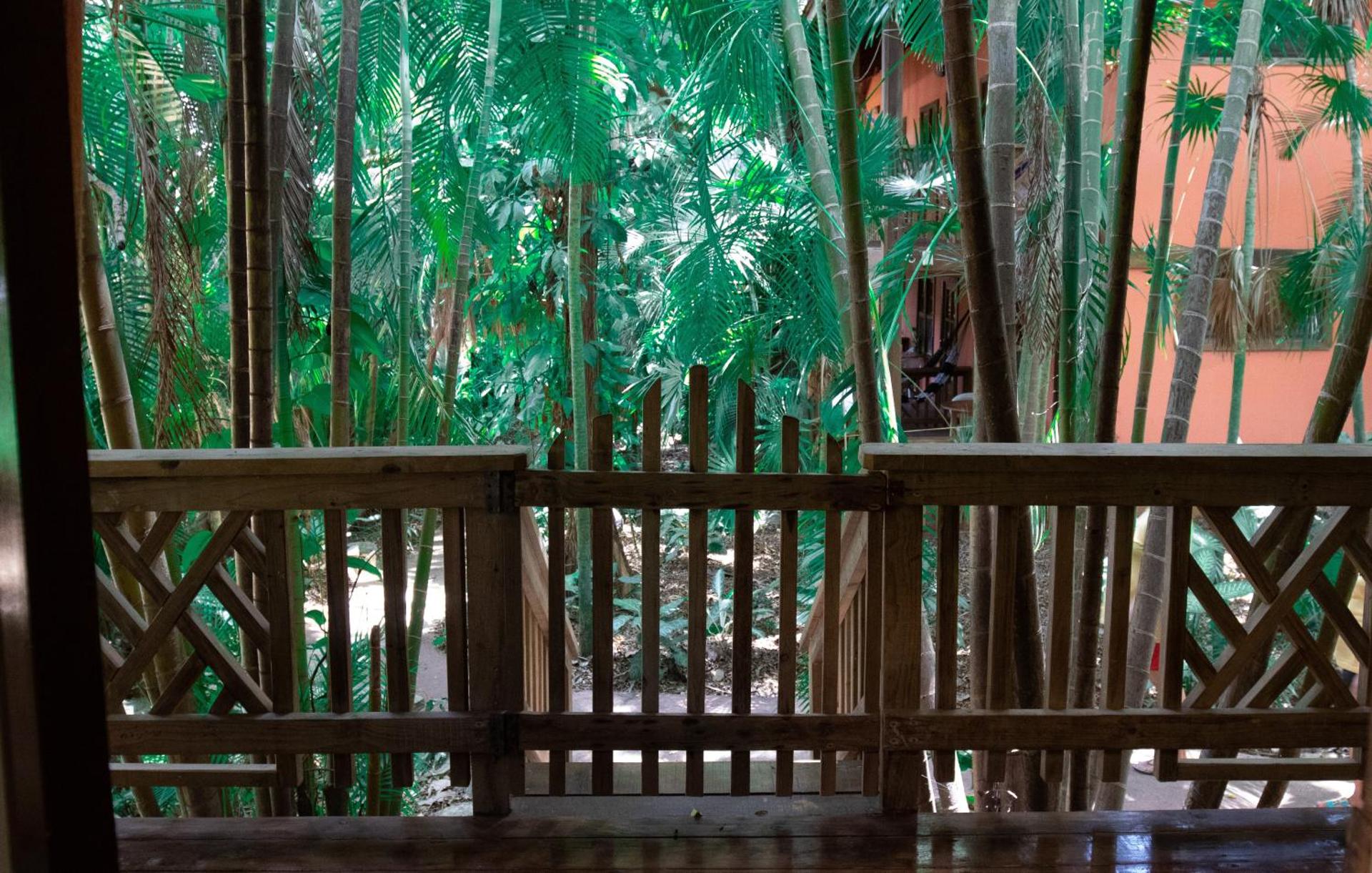 Posada Arco Iris, West End - Photo 49