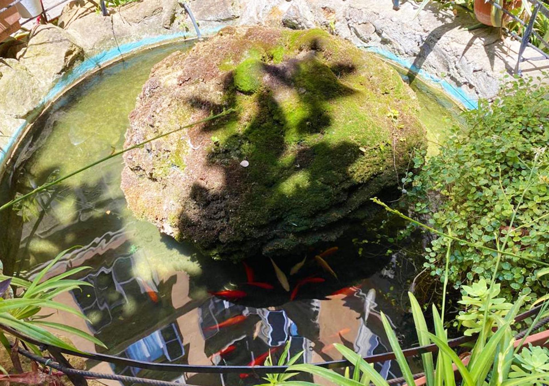 Sweet Dream Roma Termini - Photo 47