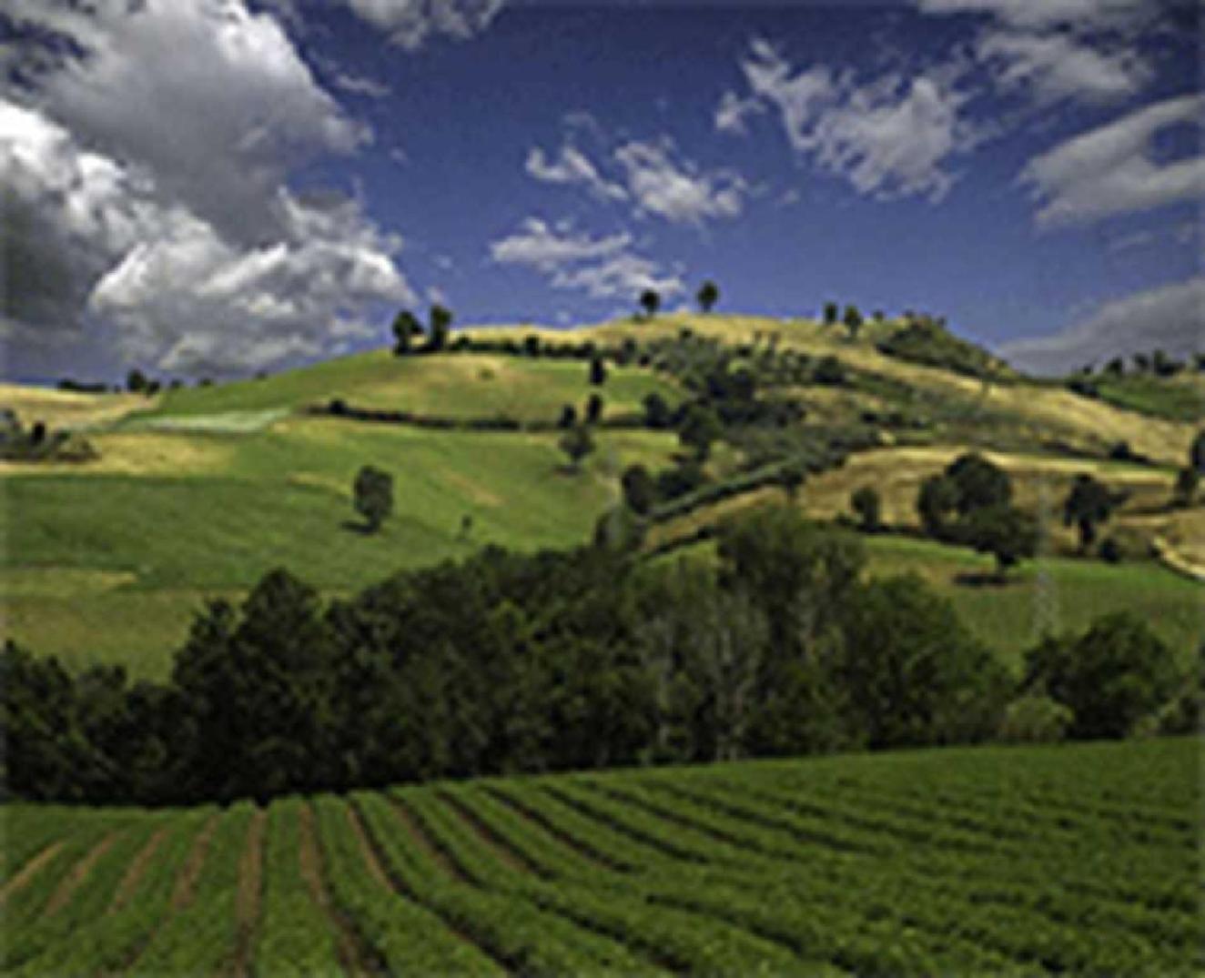 Il Pentagono - Photo 60