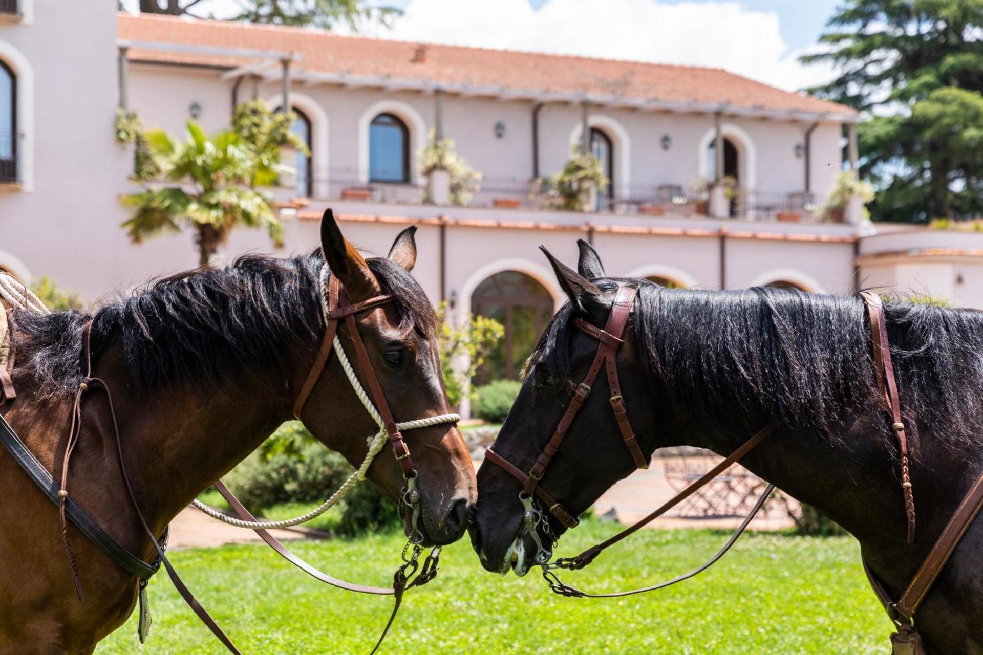 Antico Borgo di Sutri - Photo 5