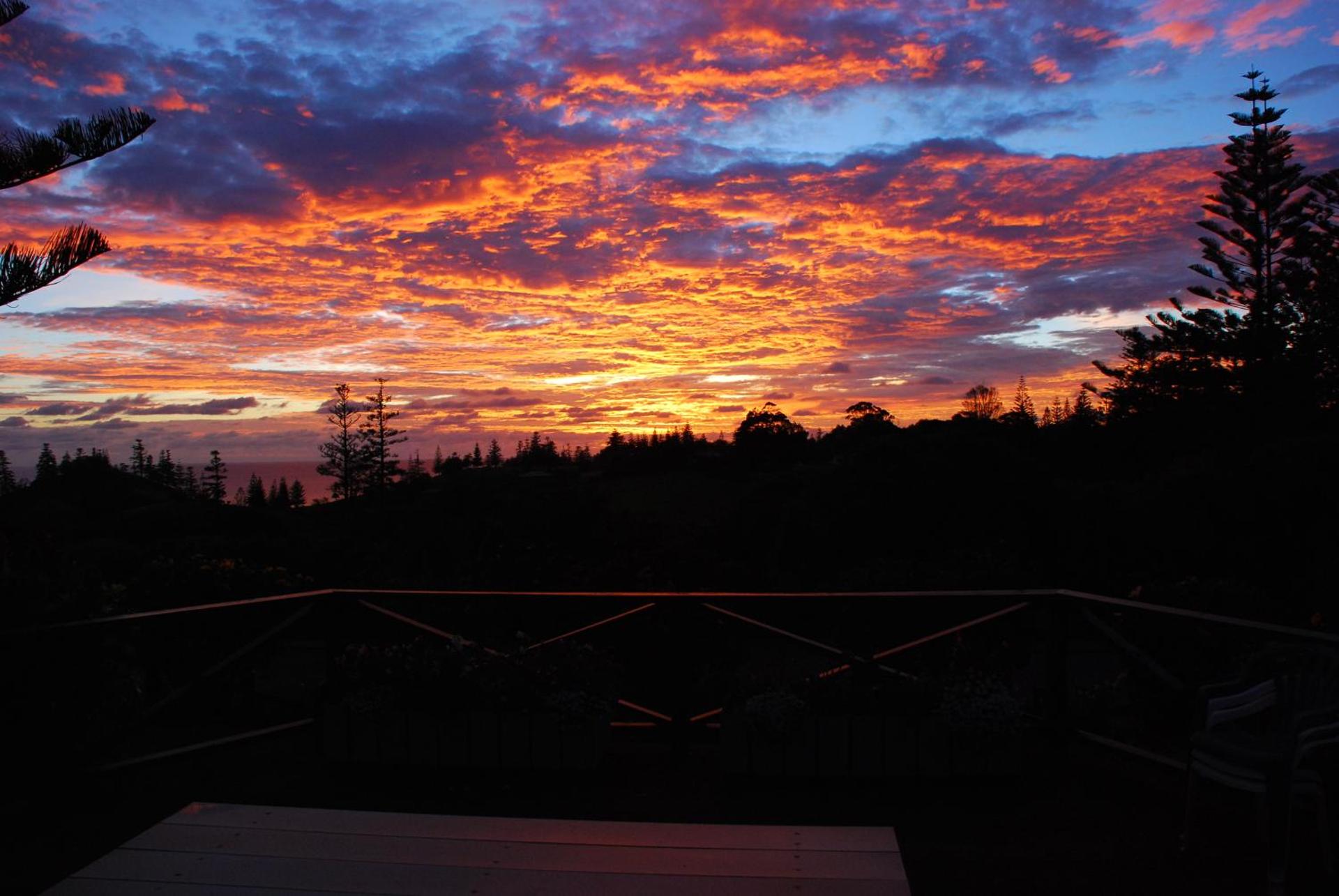 Cascade Garden Apartments - Photo 11