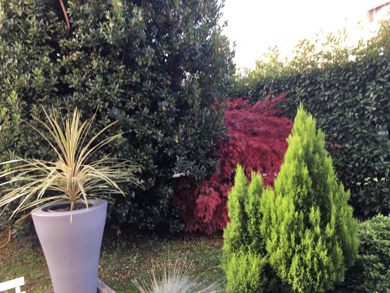 Residenza Il Fiore - Photo 6