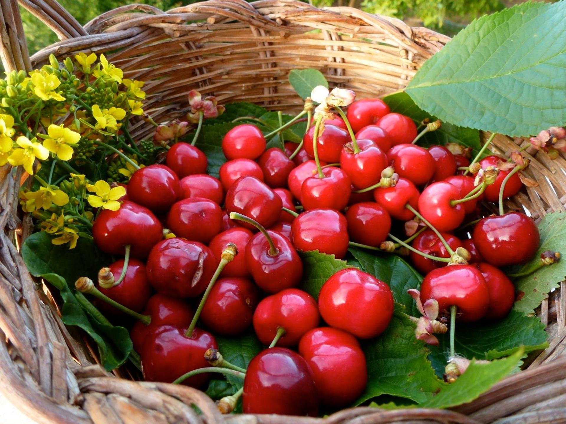 B&B Meladormo - Photo 16