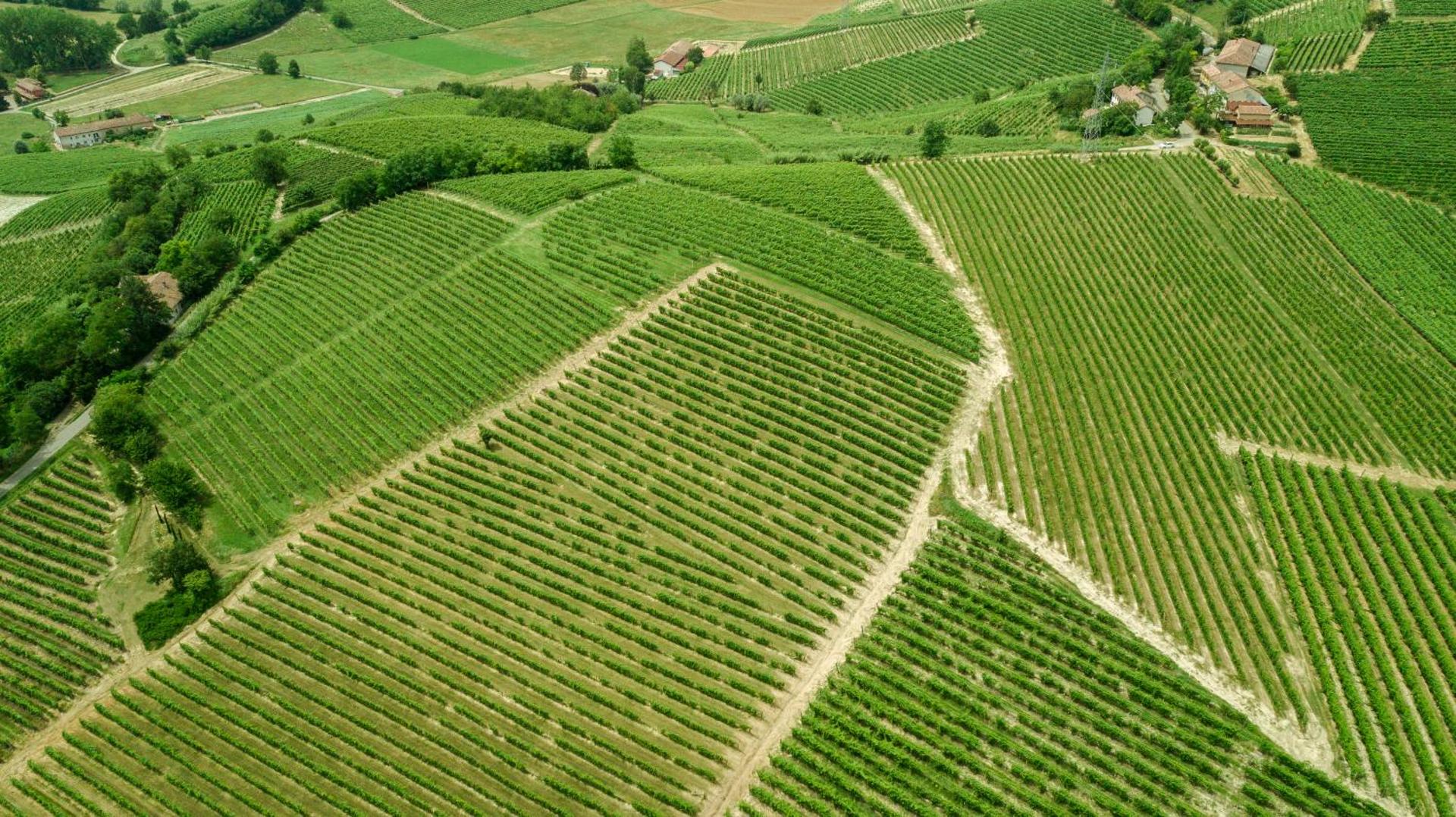 Agriturismo Relais "il Bricco" - Photo 14