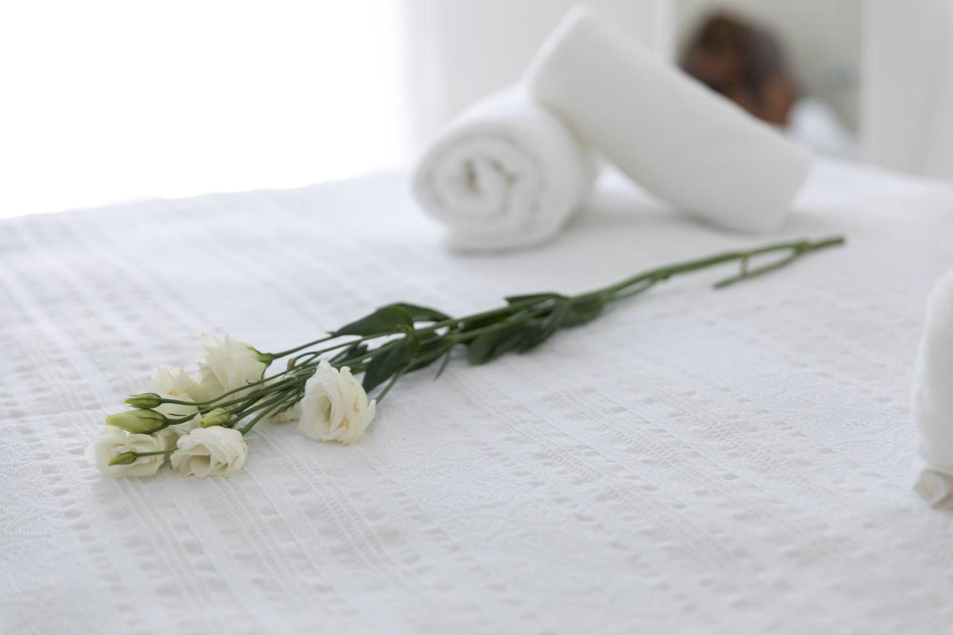 Sugar Blue - Photo 38