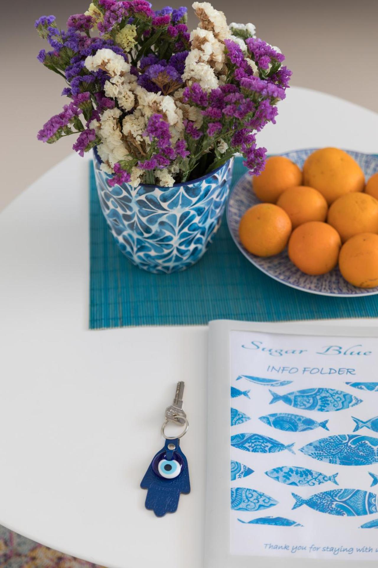 Sugar Blue - Photo 30