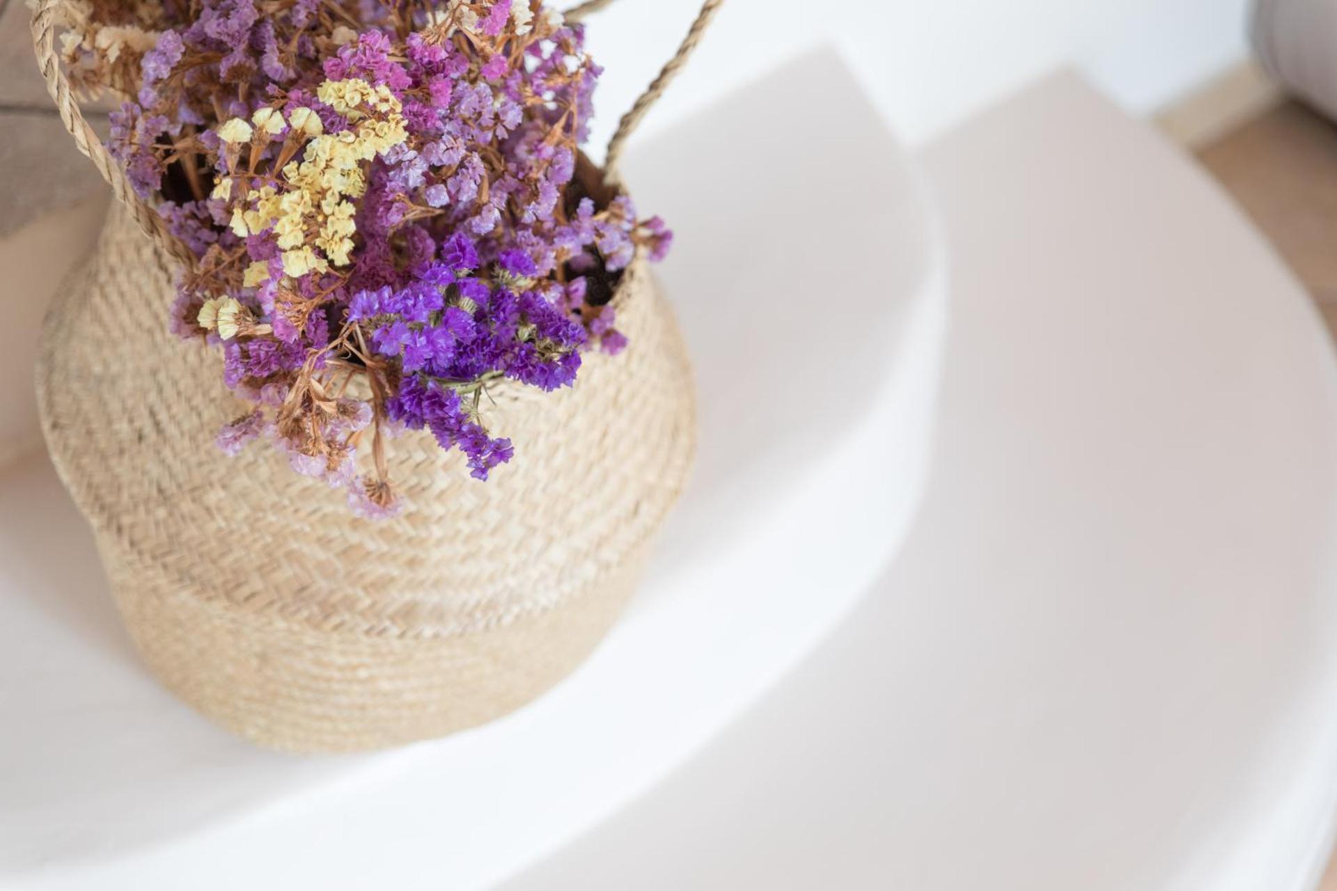 Sugar Blue - Photo 124