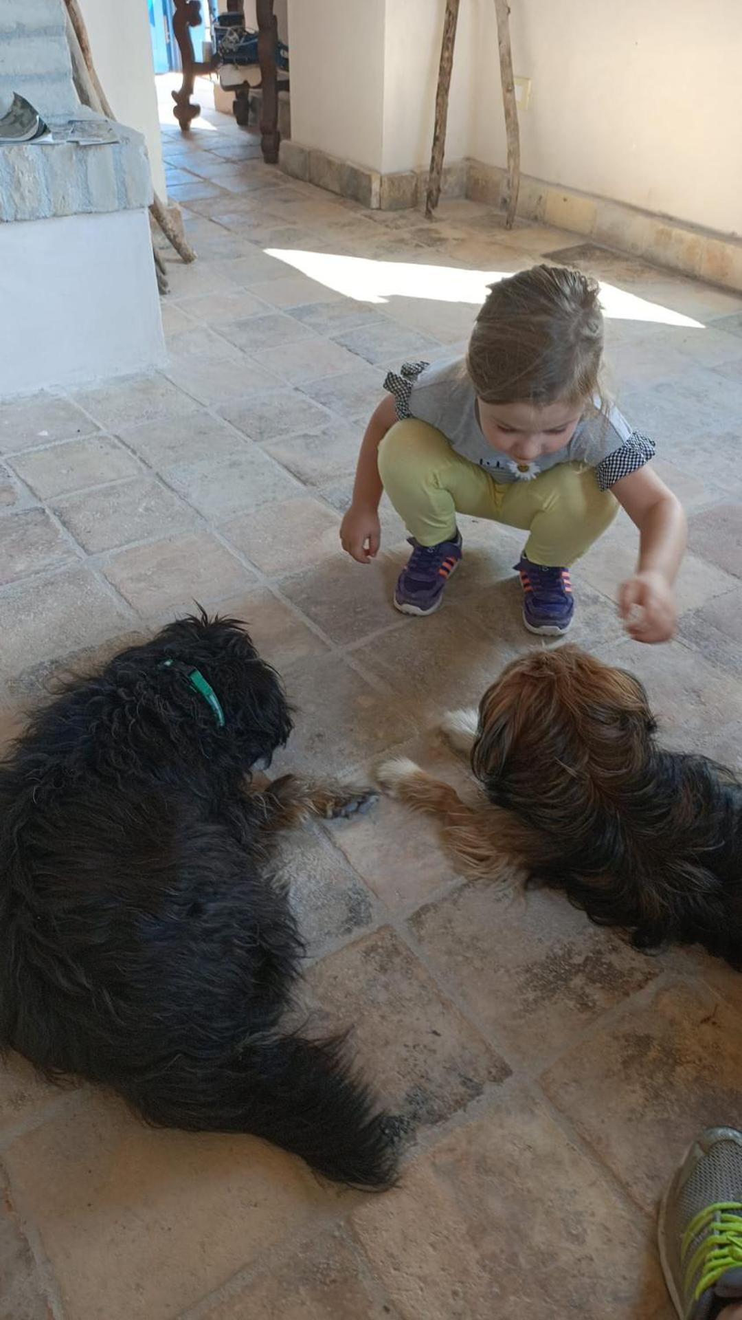 La casa dalle finestre blu - Photo 102