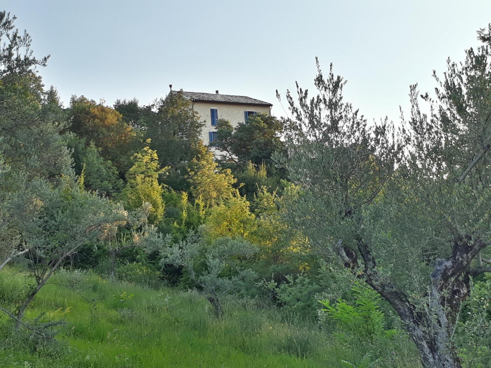 La casa dalle finestre blu - Photo 89