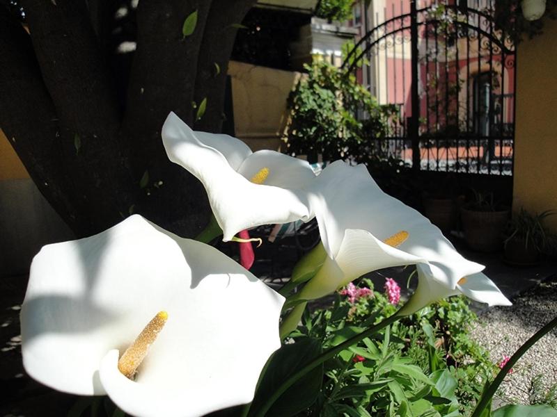 Hotel Miranda - Photo 49