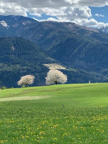 Hotel Alla Rocca - Photo 14