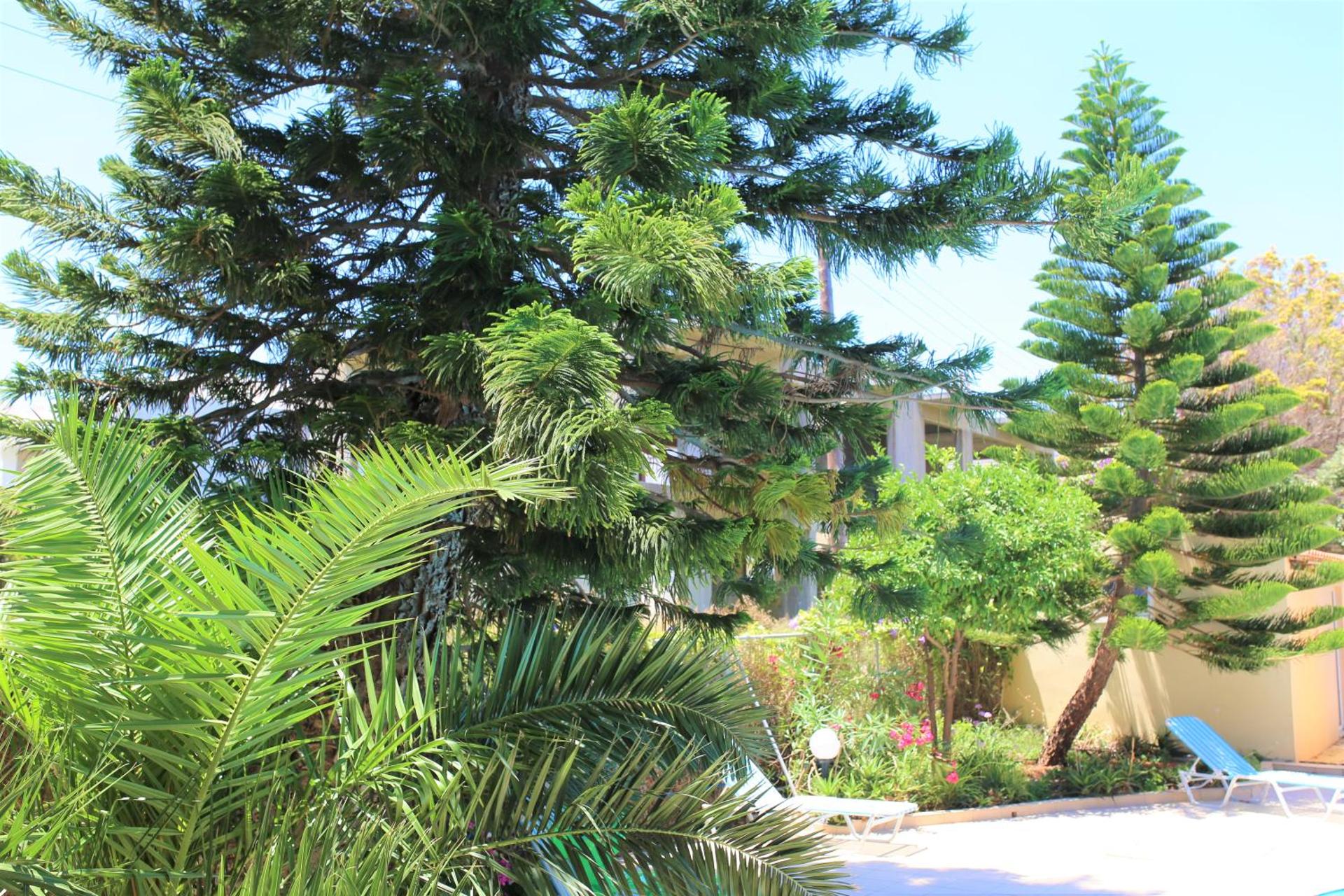 Castro Hotel - Photo 163