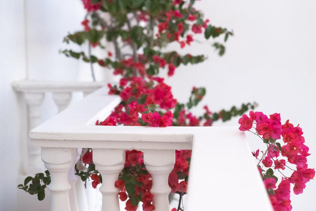 Harmony Hotel - Photo 5