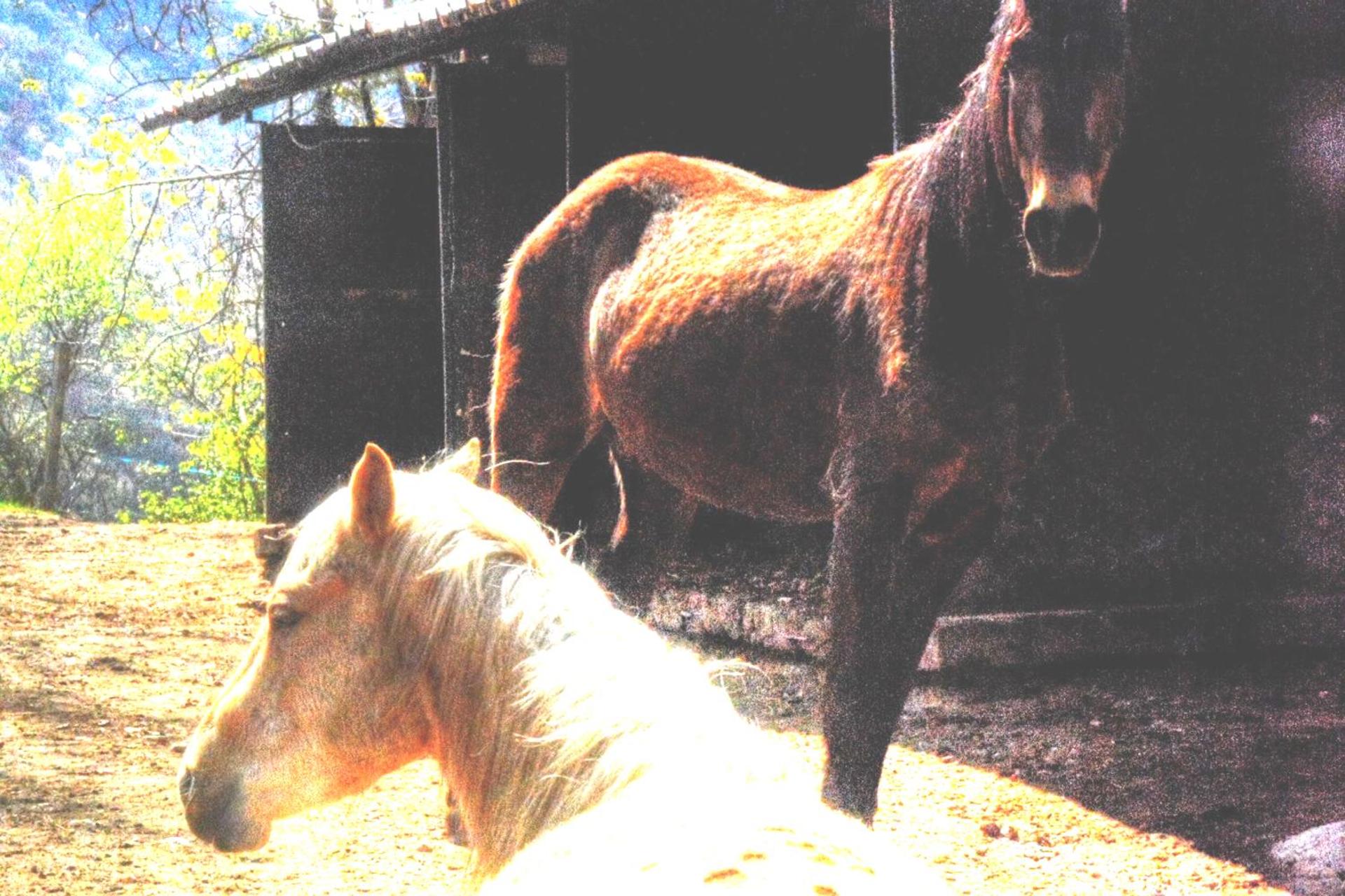 Cascina del Sole - Photo 16