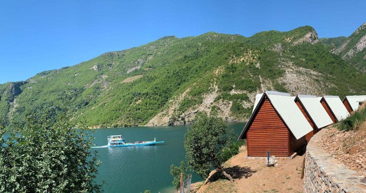 5 Stinet - Photo 175