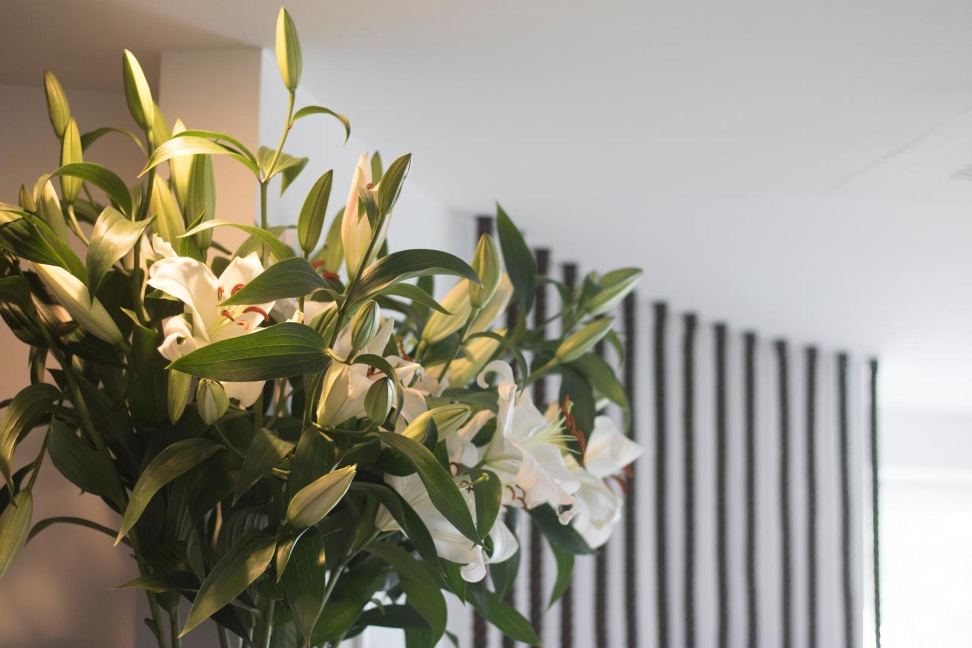 White Hotel - Photo 53