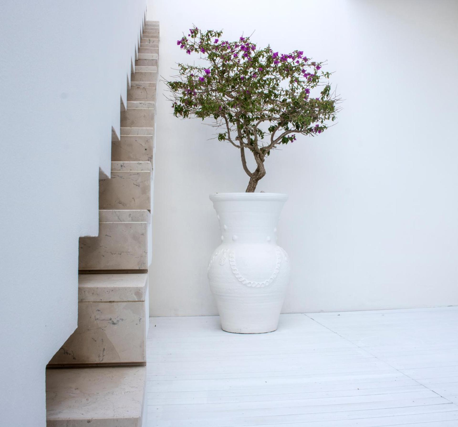 White Hotel - Photo 58