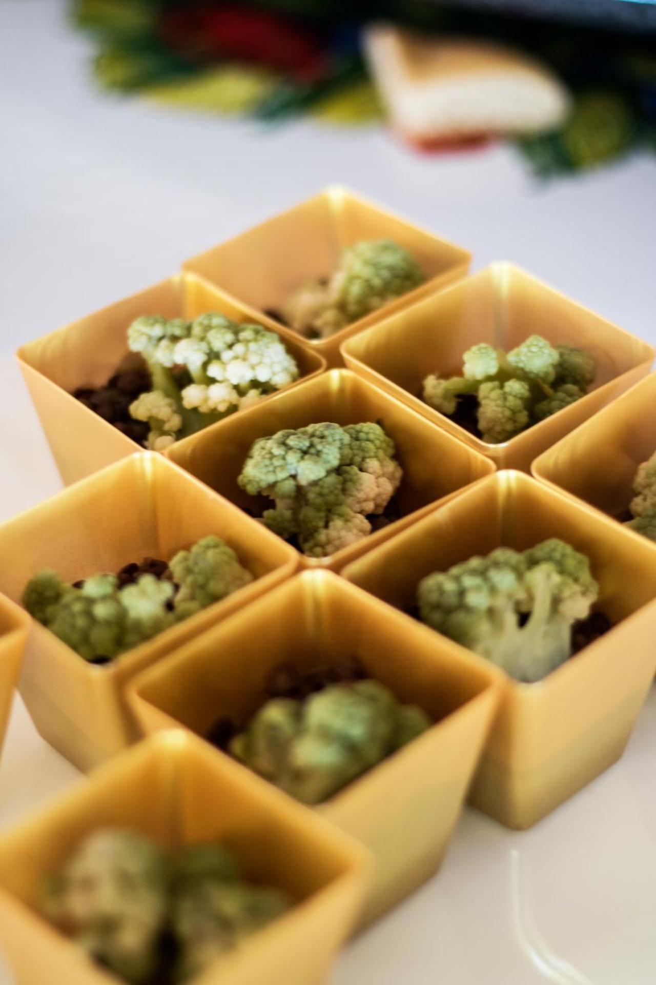 White Hotel - Photo 36