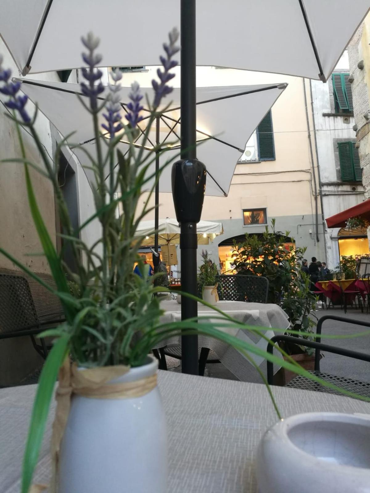 Hotel La Luna - Photo 166