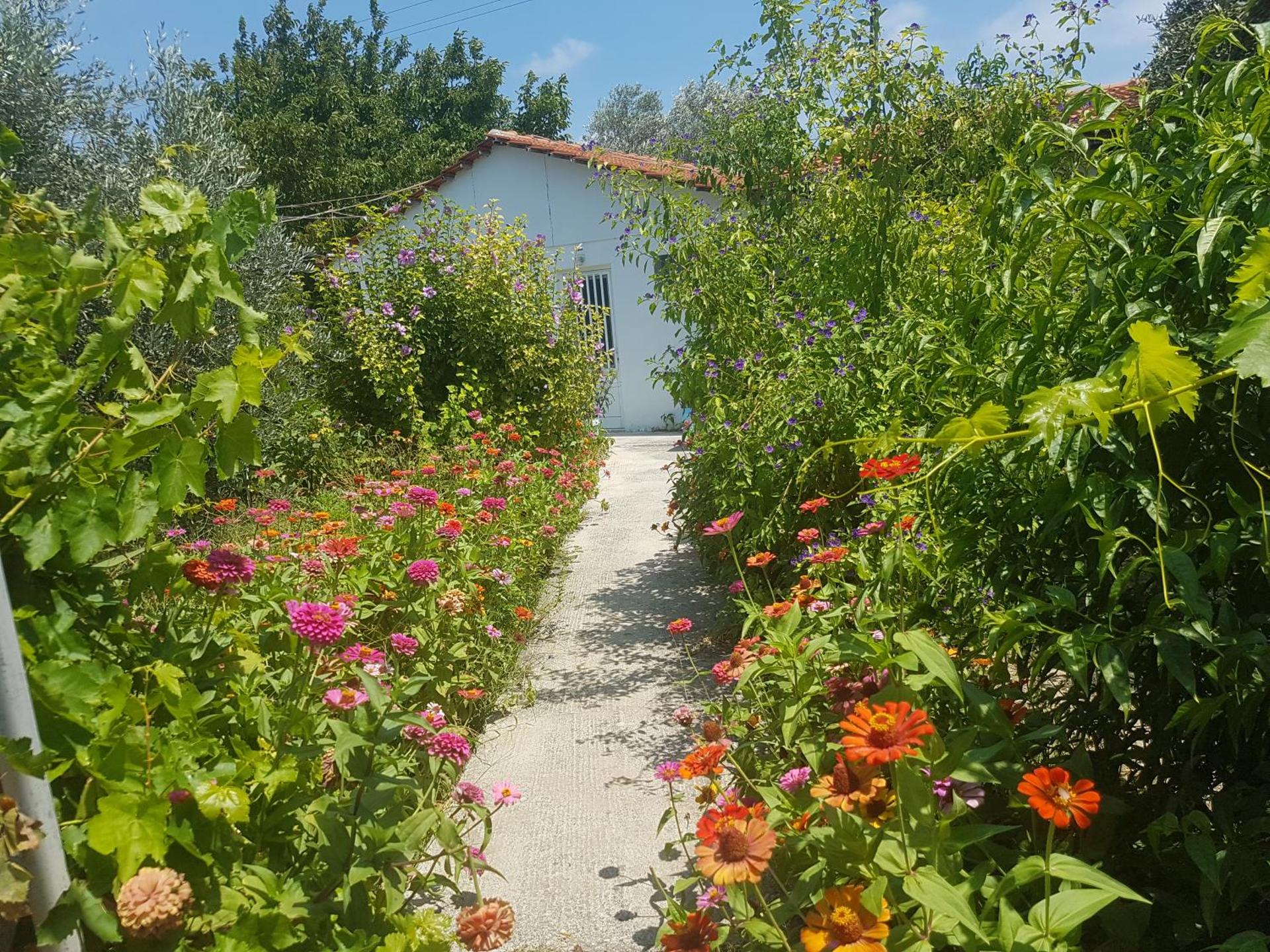 Pension Zoi - Photo 17