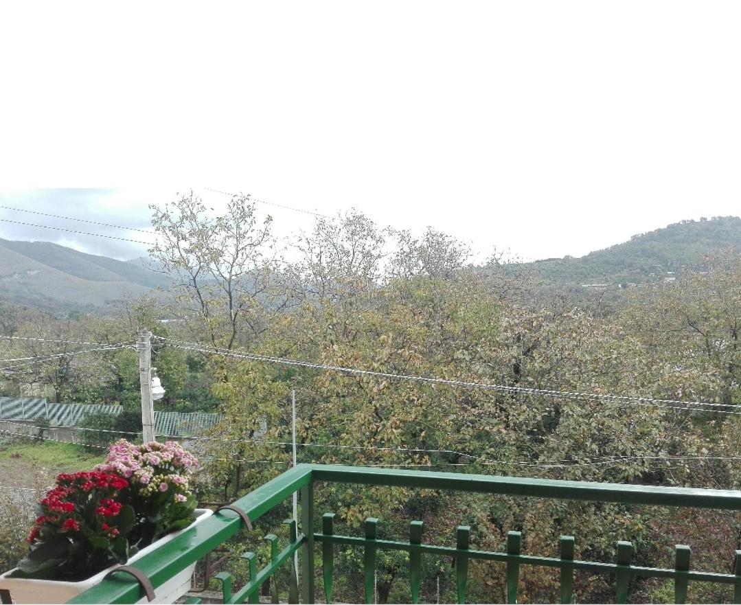B&B Villa Enza intero appartamento a Nocera Inferiore, Salerno - Photo 31