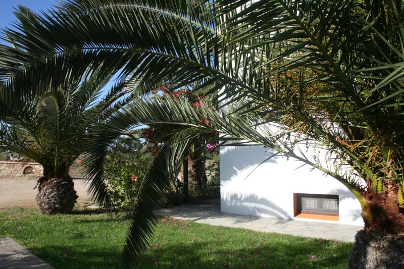 Villa Danai - Photo 53