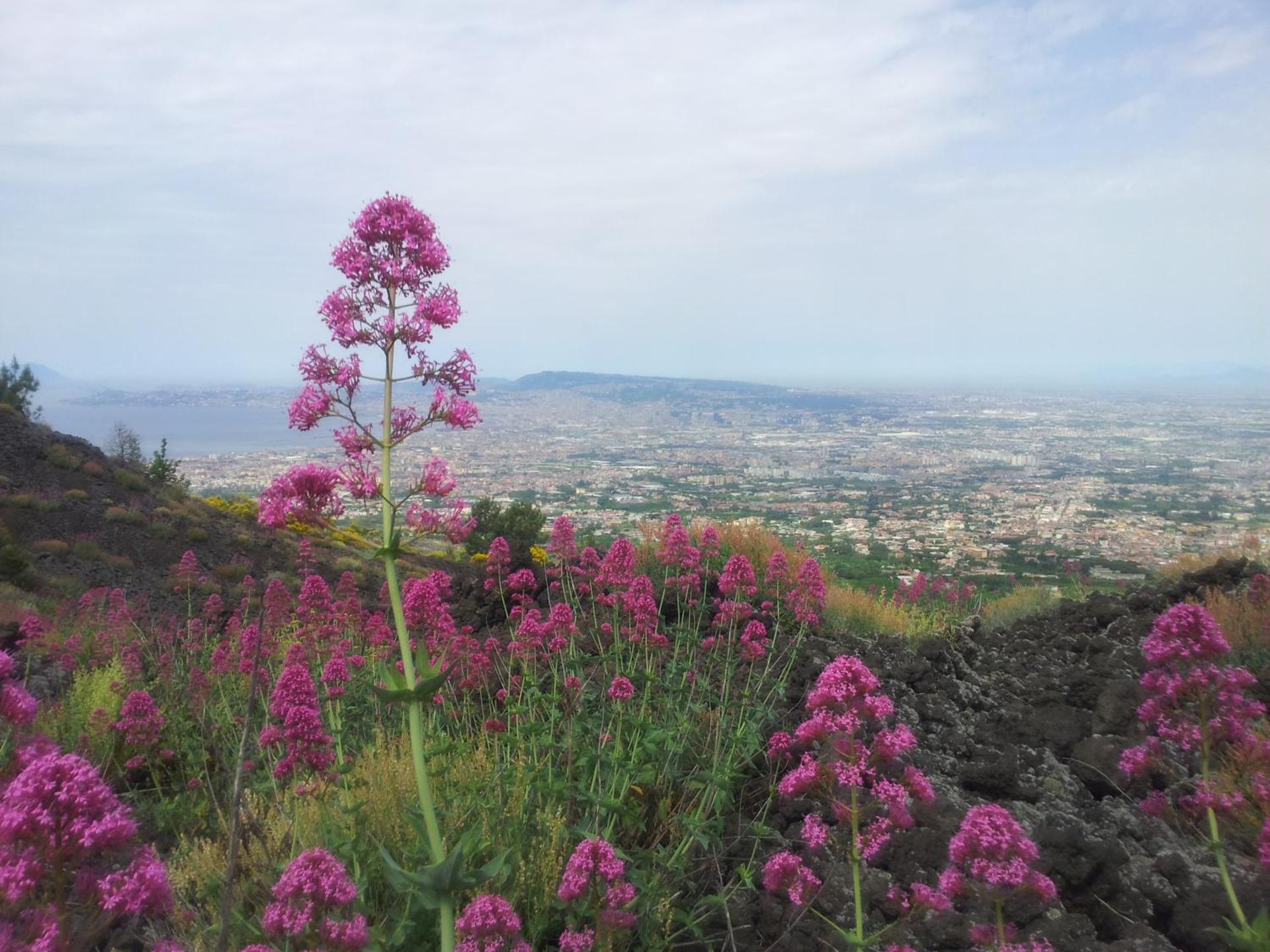 Hotel Poseidon - Photo 69