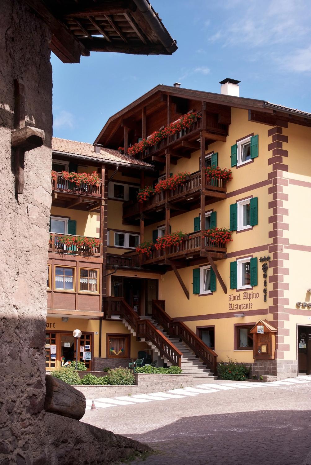 Hotel Alpino - Photo 67