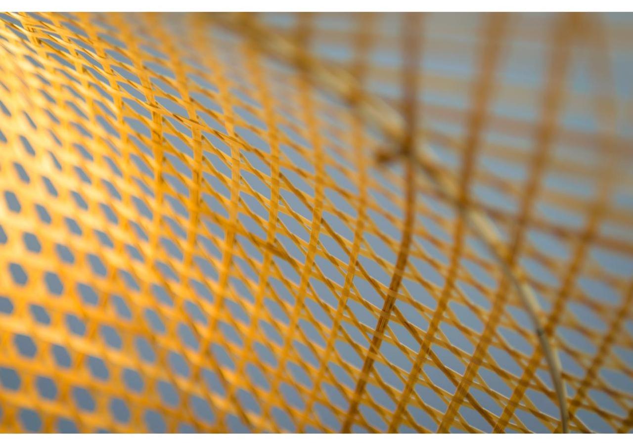 Pasithea Deluxe - Photo 5