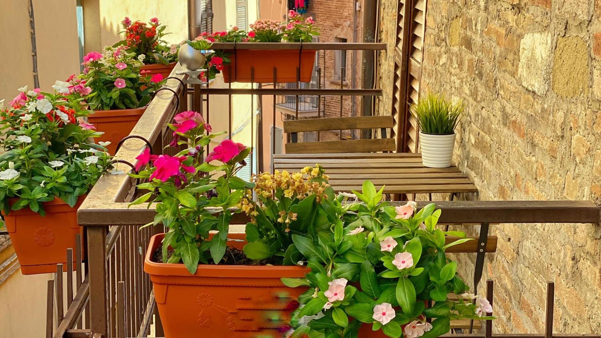 Hotel S. Ercolano - Photo 28