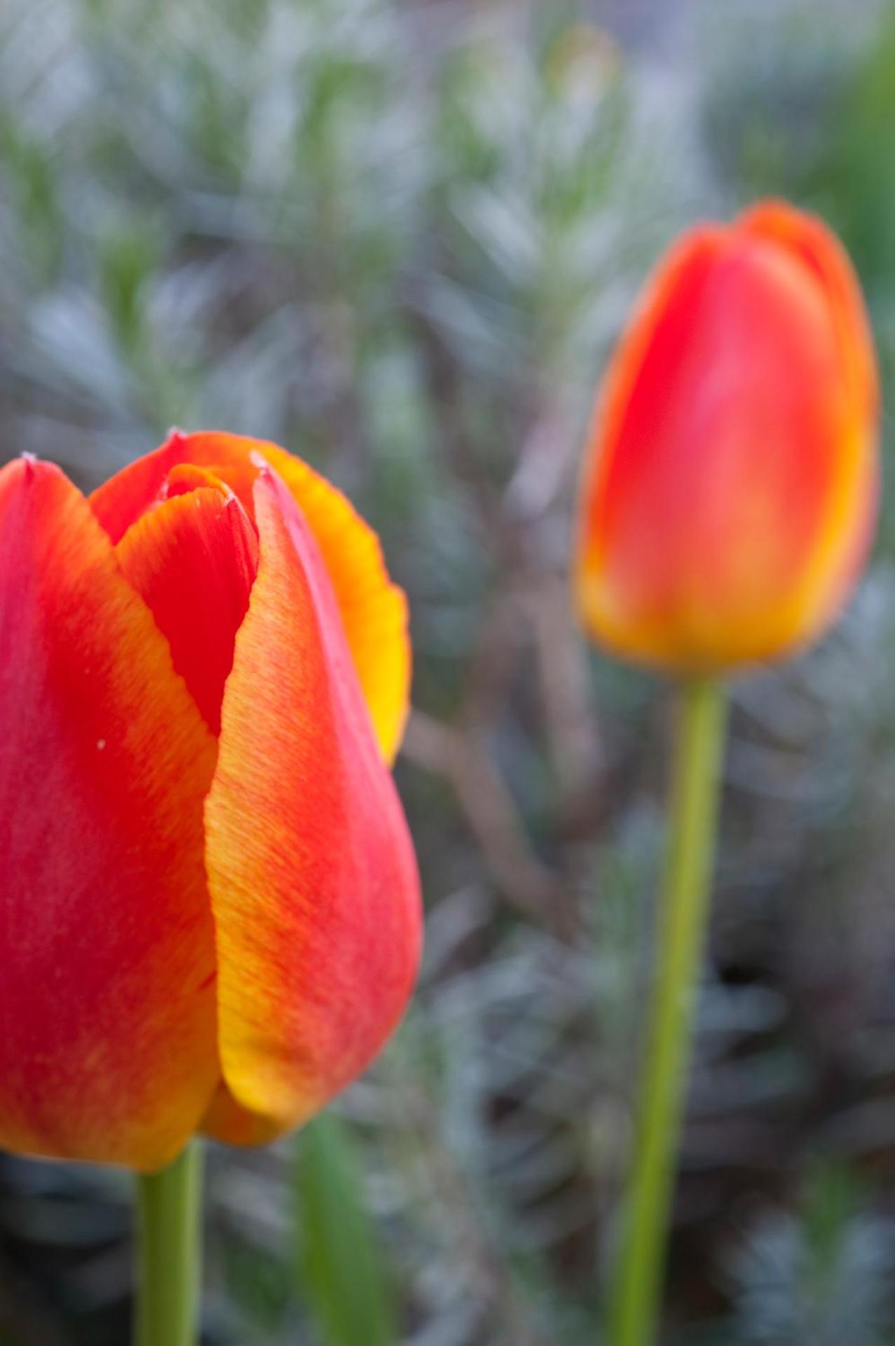 Hotel Lechnerhof Unterföhring - Photo 11