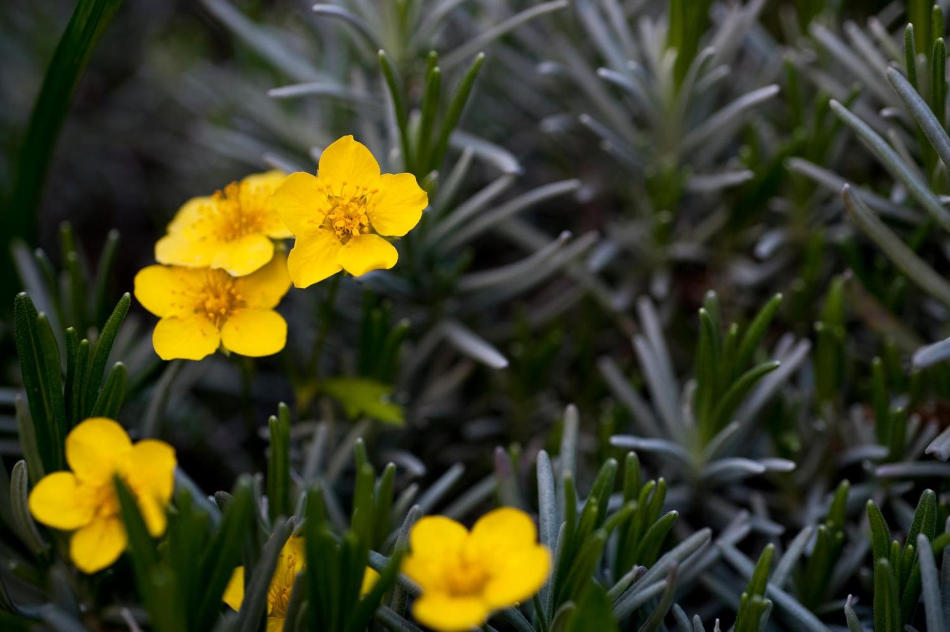 Hotel Lechnerhof Unterföhring - Photo 7