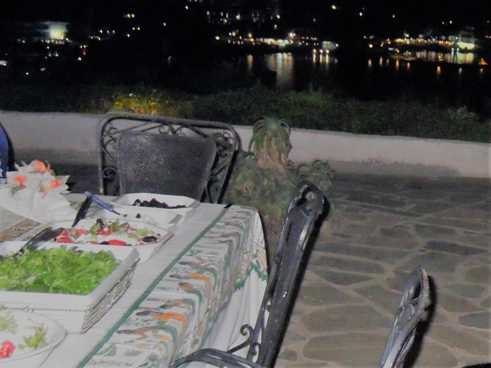 Blue Dolphin - Photo 218