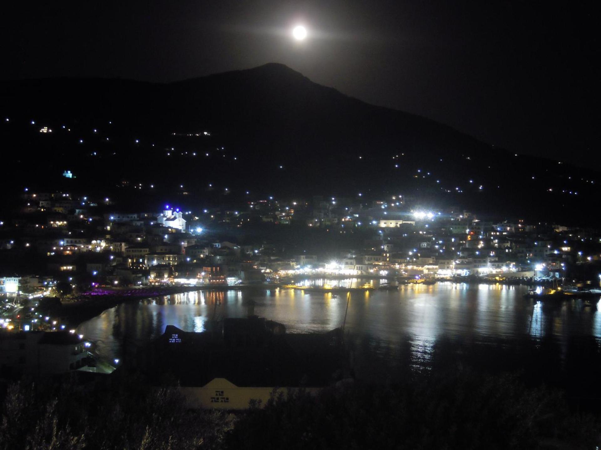 Blue Dolphin - Photo 226