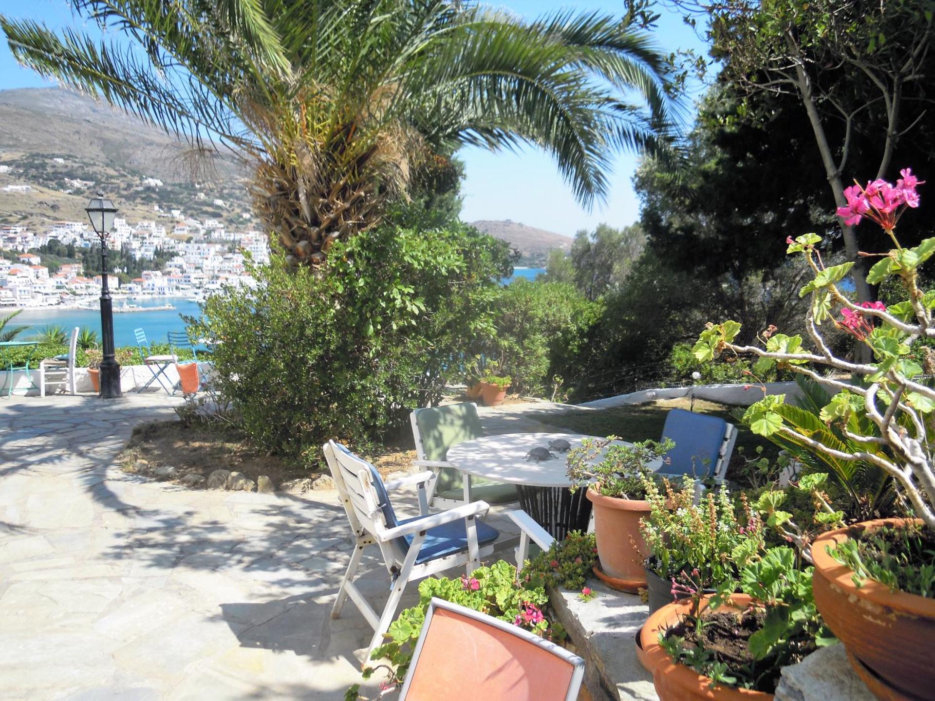 Blue Dolphin - Photo 230