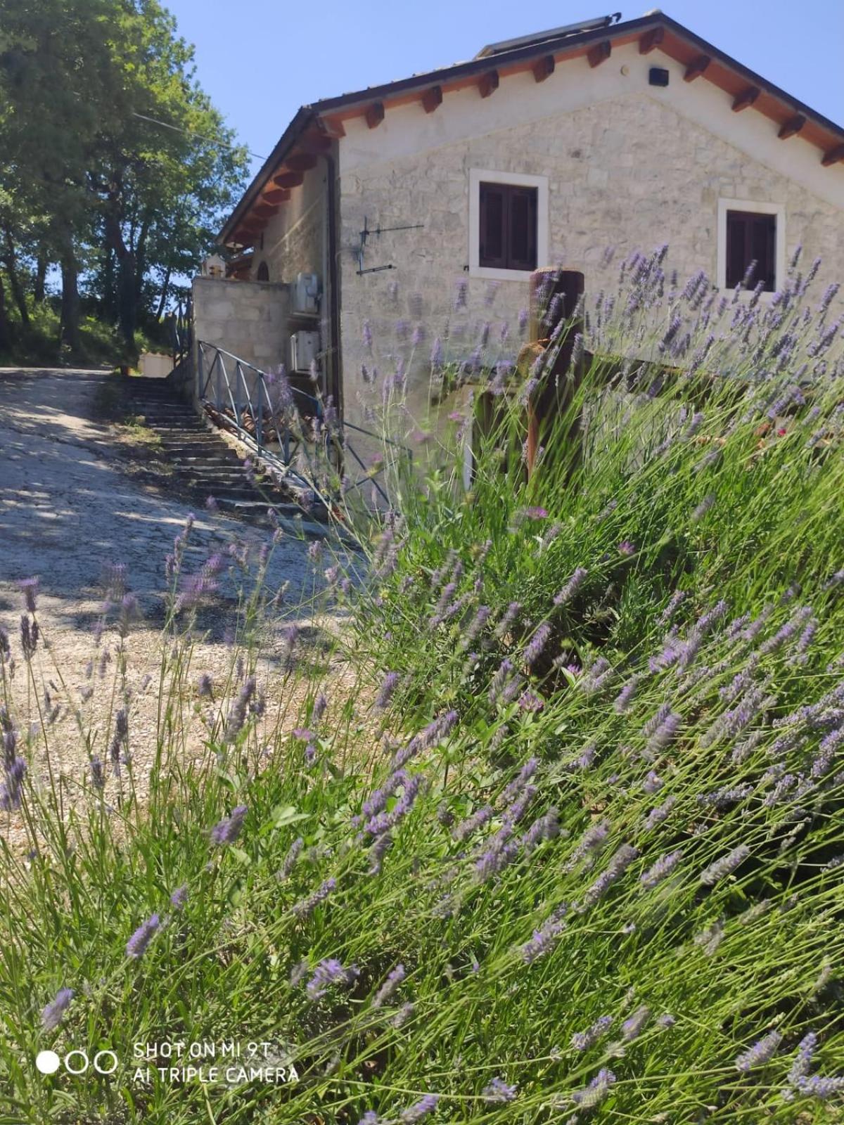 Country House Antiche Dimore - Photo 40