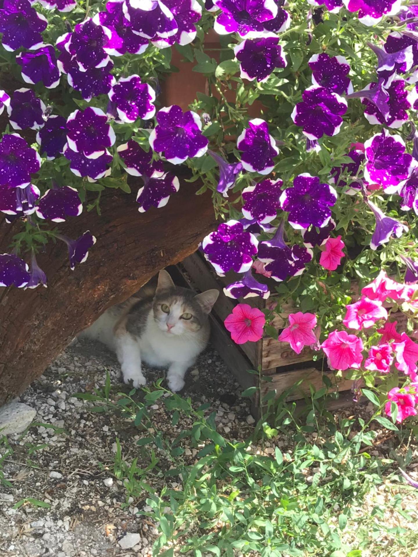 Country House Antiche Dimore - Photo 123