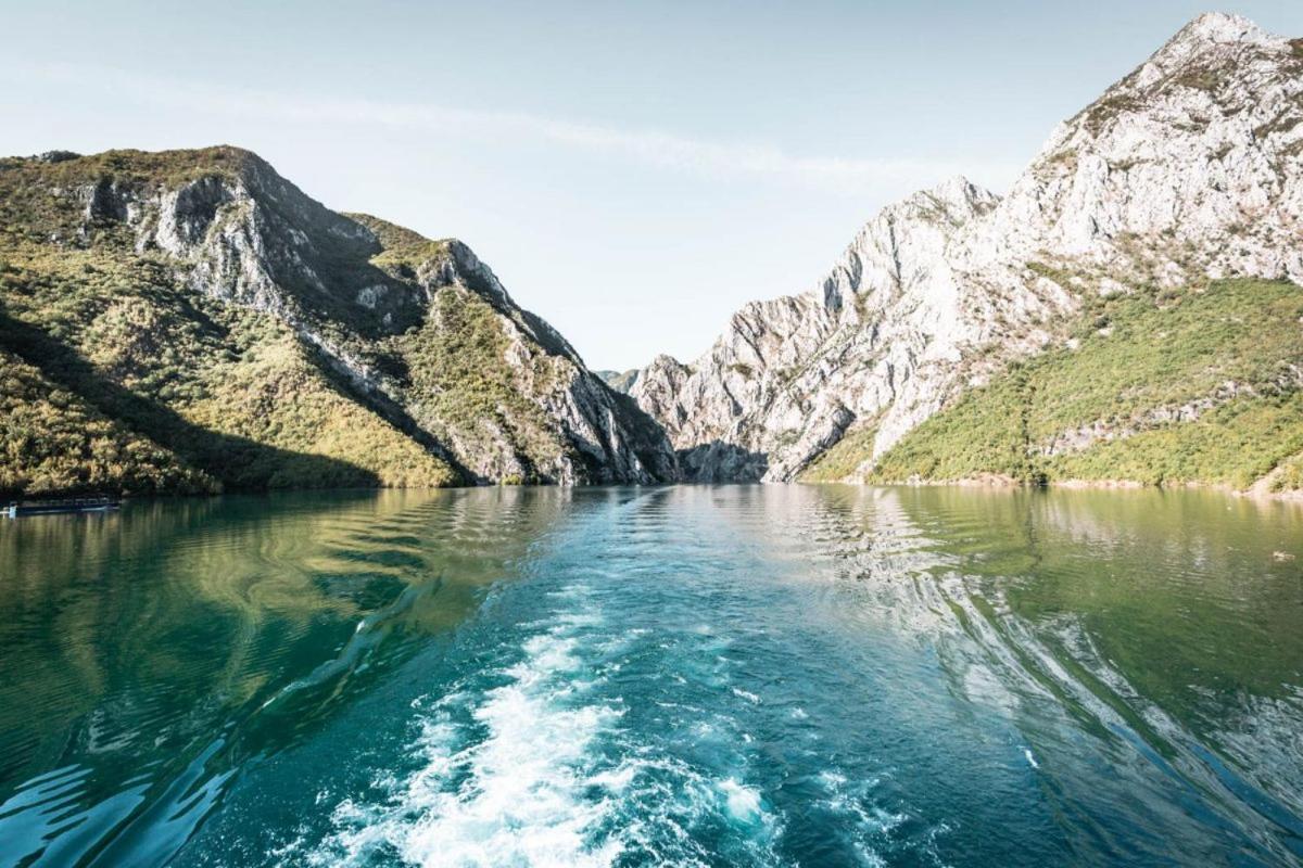 5 Stinet - Photo 172