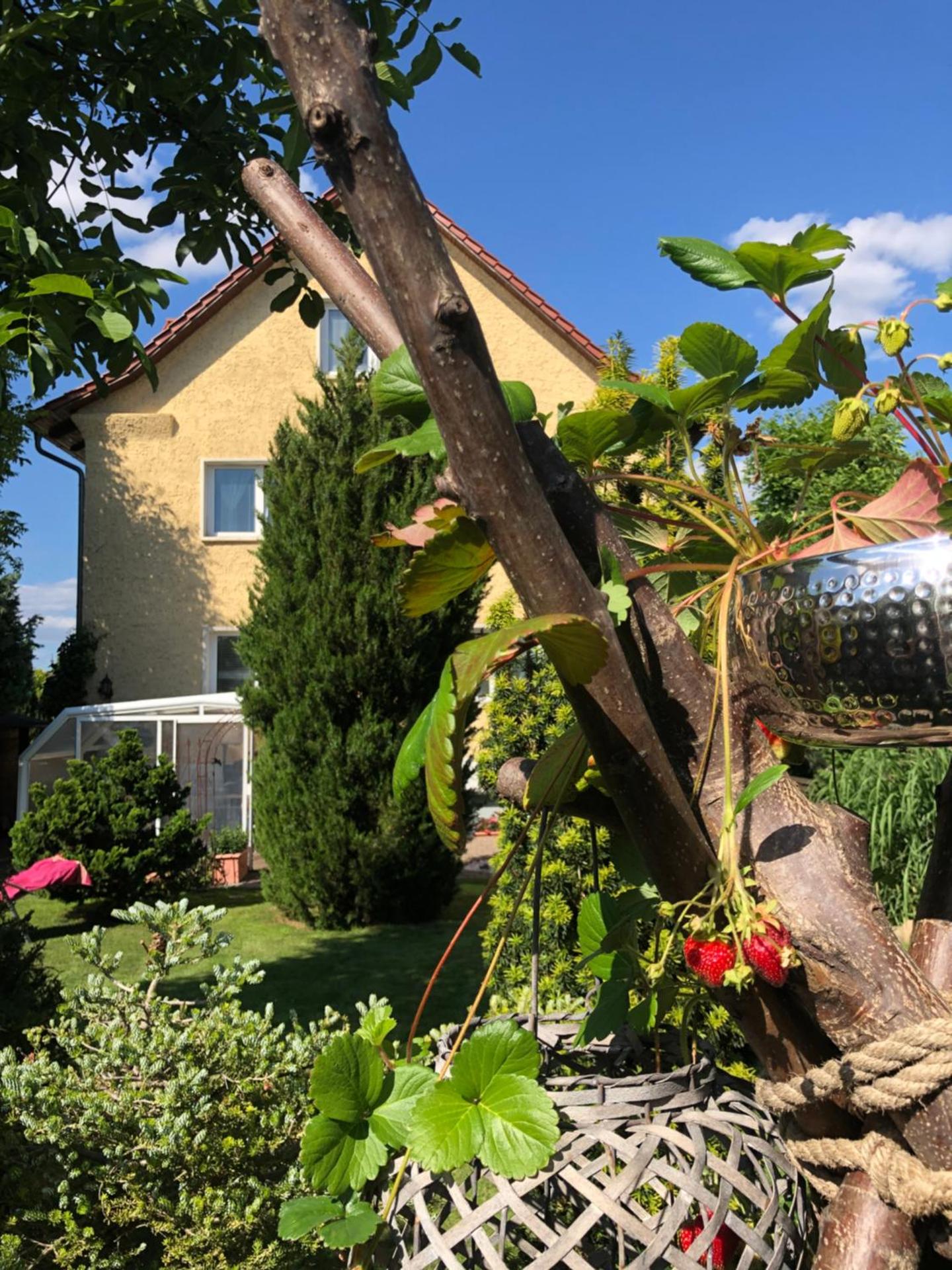 Pension Haus Bielke - Photo 11