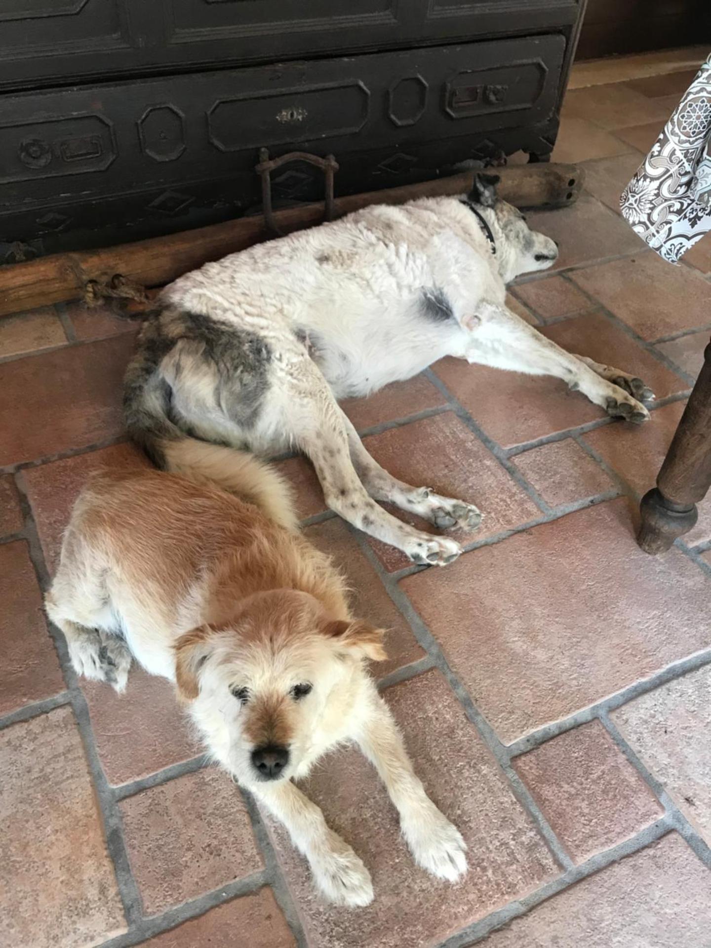 Country House Antiche Dimore - Photo 128