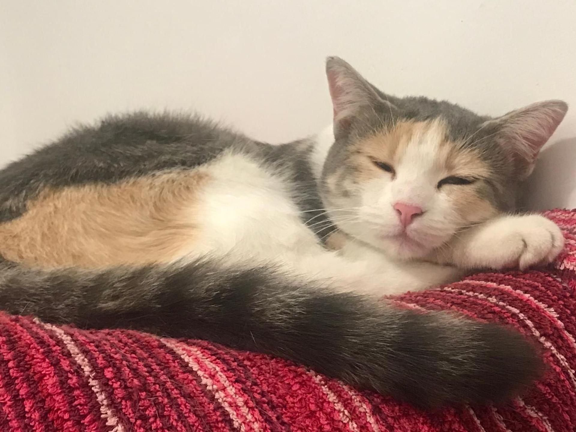 Country House Antiche Dimore - Photo 124