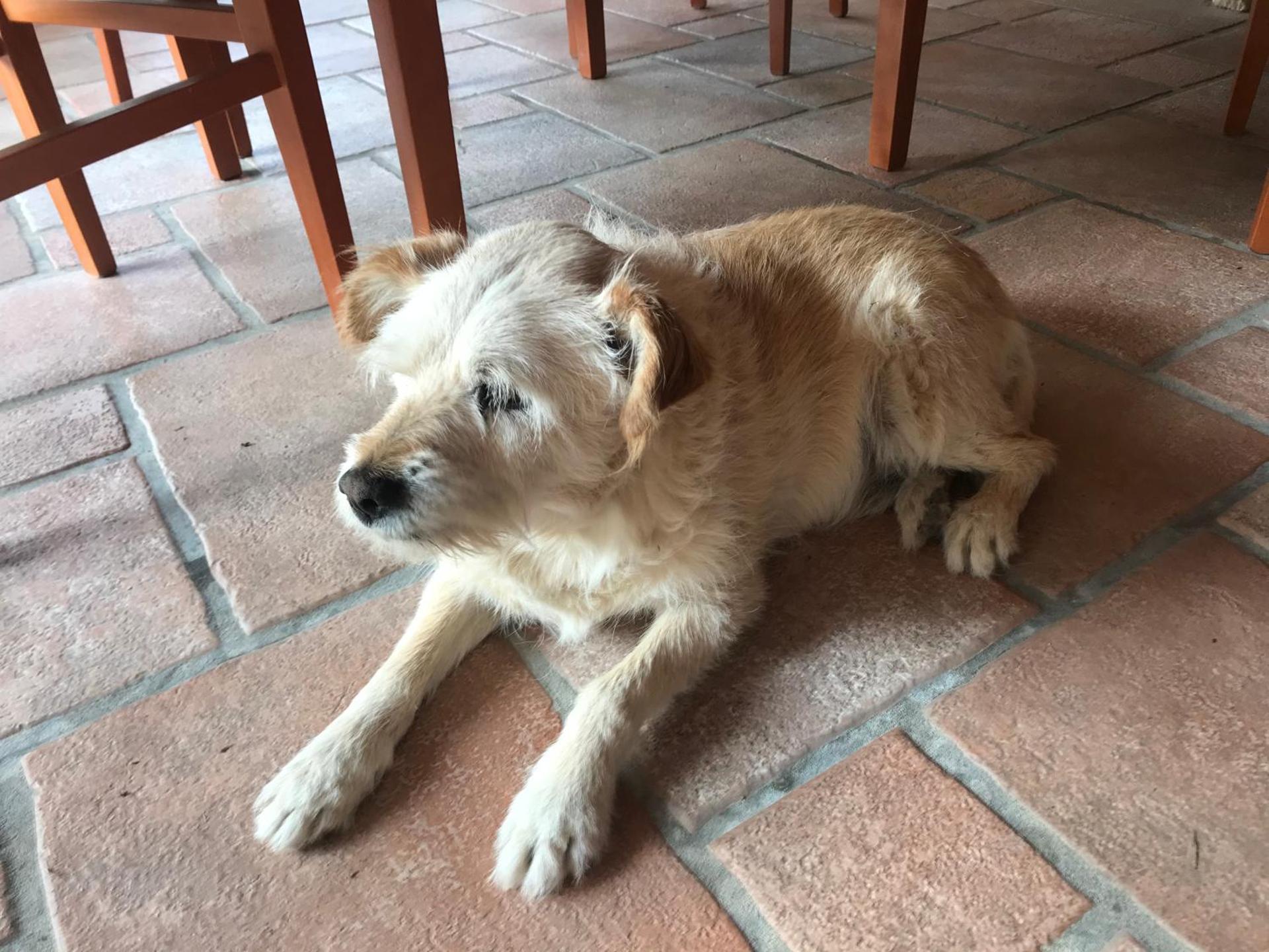 Country House Antiche Dimore - Photo 127