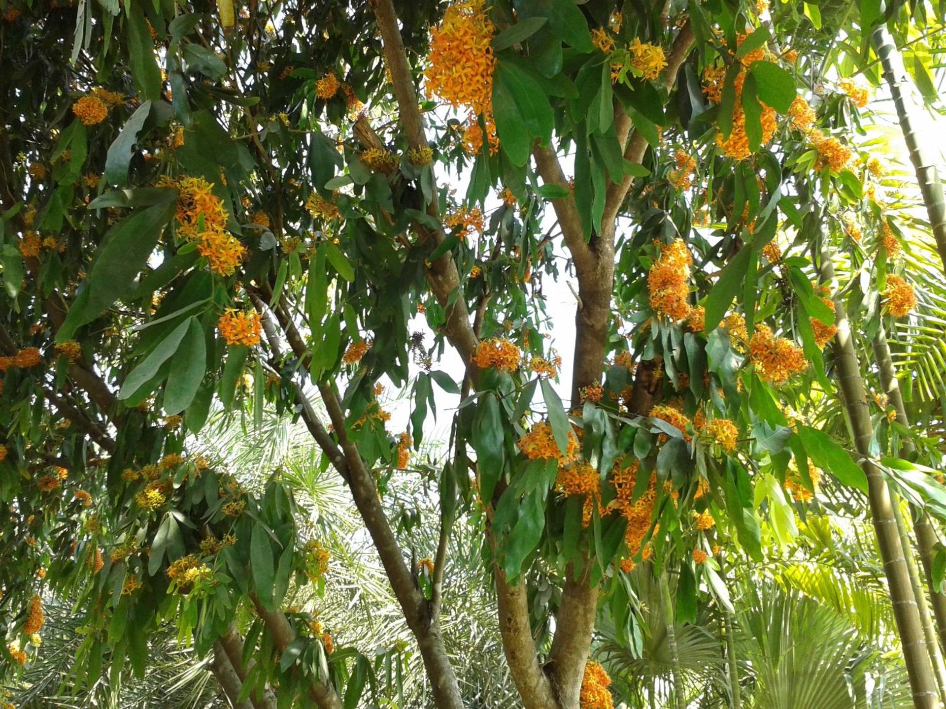 Huan Chiang Dao Resort - Photo 8